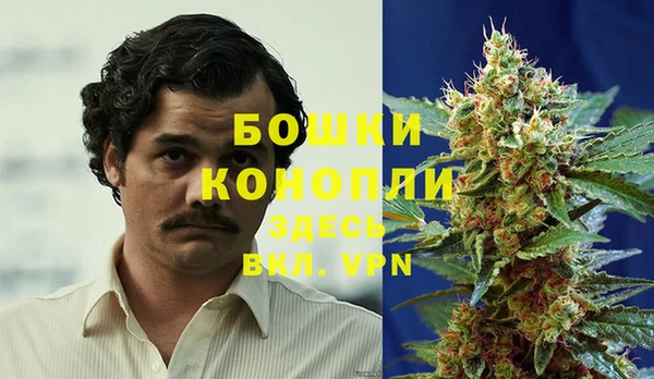 PSILOCYBIN Краснотурьинск