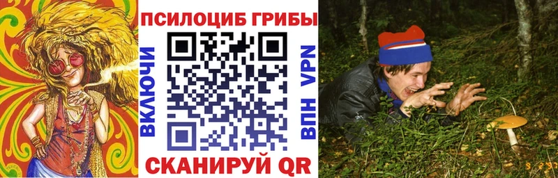 Галлюциногенные грибы Psilocybine cubensis  Чебоксары 