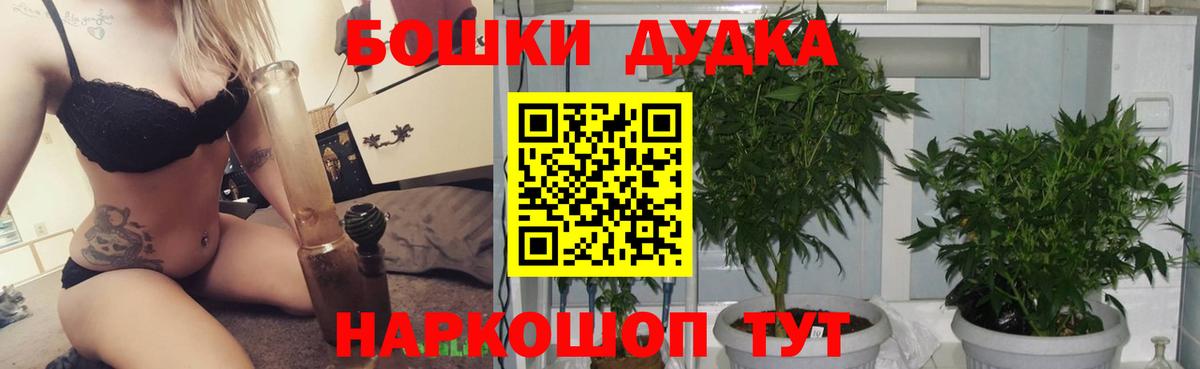 Конопля семена  Бошки Шишки индика  Бошки Шишки конопля  МАРИХУАНА ГИДРОПОН  Вход с VPN  Чебоксары 